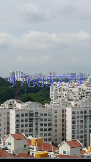 The Hillier (D23), Apartment #127403032